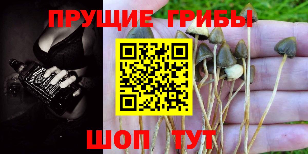 Каменск-Уральский  Галлюциногенные грибы Psilocybine cubensis  Вход с VPN  купить закладку  Псилоцибиновые грибы прущие грибы 